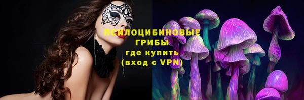 тгк Михайловск