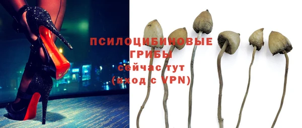 2c-b Михайлов
