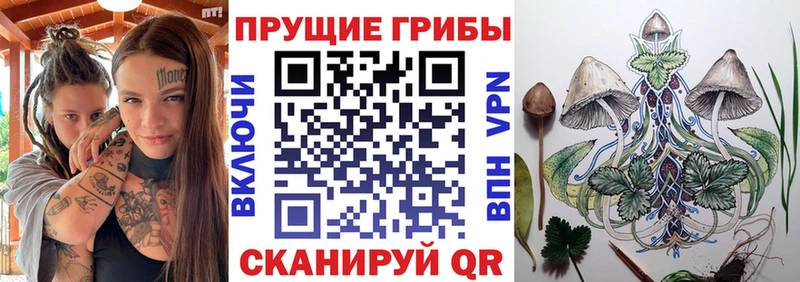 где купить Камышлов Галлюциногенные грибы ЛСД