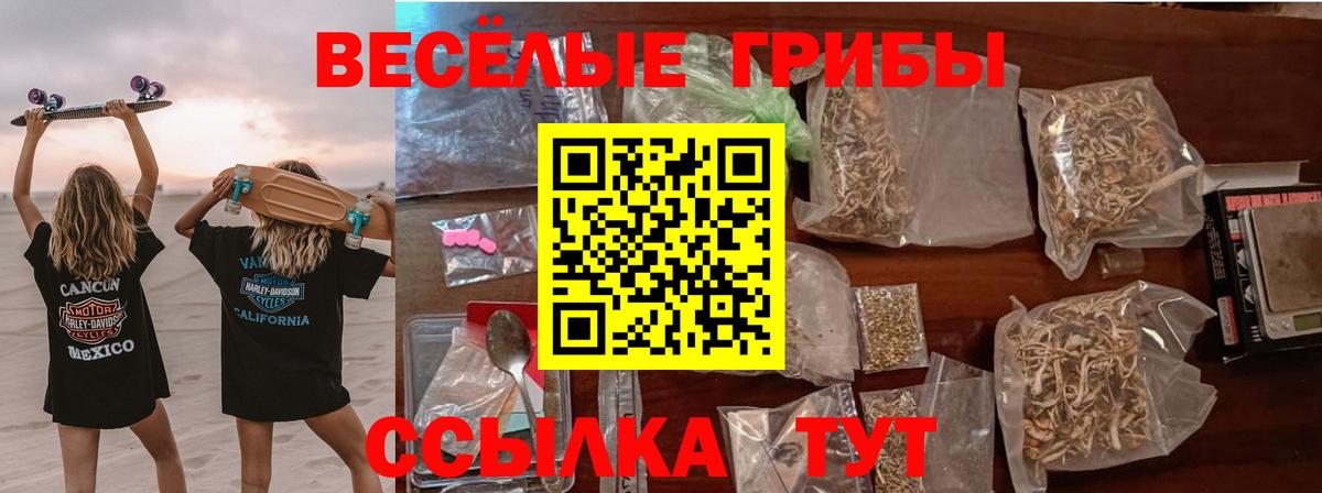 Камышлов  Галлюциногенные грибы прущие грибы  Вход с VPN 
