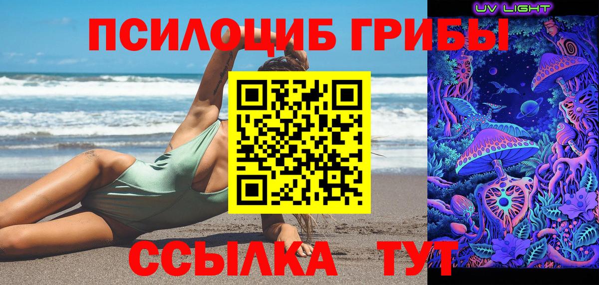 Галлюциногенные грибы Psilocybine cubensis Камышлов